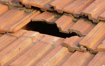 roof repair Lyng