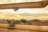 rated Lyng roof window companies